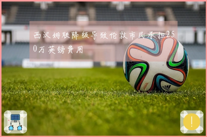 西汉姆联降级导致伦敦市民承担250万英镑费用